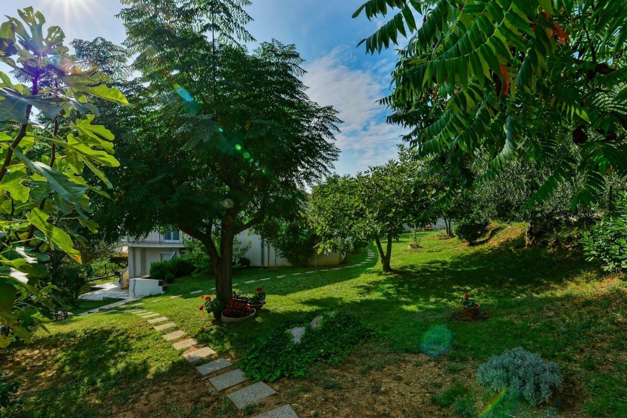 Apartment Robinson Podvrsje Exterior photo